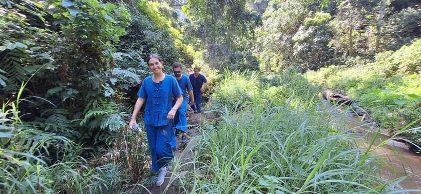 Chiang Mai: Elephants, Waterfall, and White Water Rafting - Ethical Elephant Sanctuary in Mae Taeng Jungle: How the Elephant Walk Works