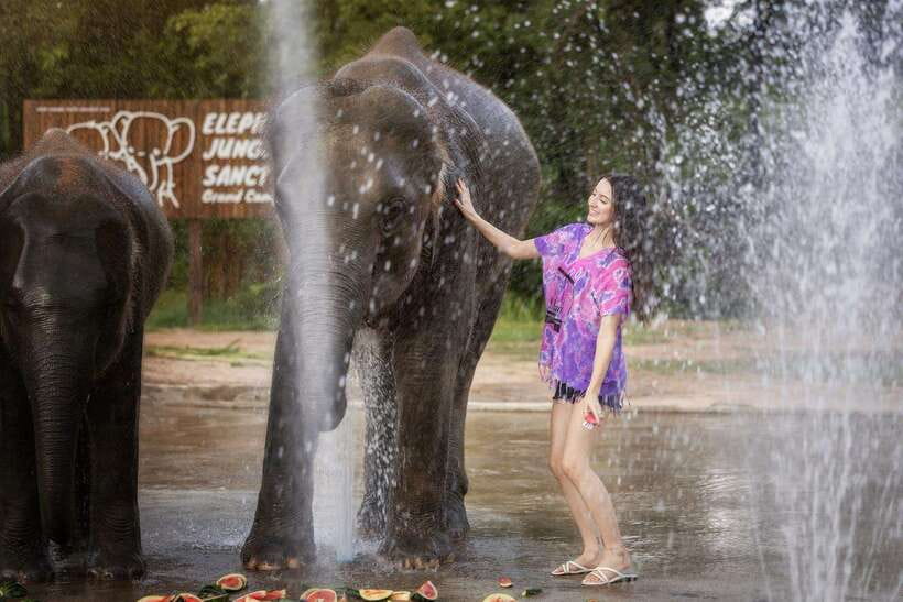 Chiang Mai: Ethical Elephant Feeding & Shower Program - Key highlights to know before you go
