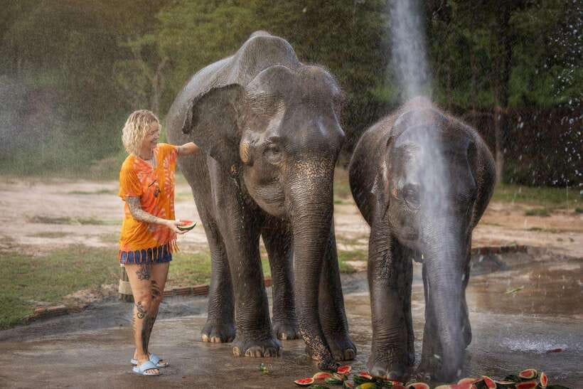 Chiang Mai: Ethical Elephant Feeding & Shower Program - Ethical Elephant Feeding at Elephant Jungle Sanctuary Chiang Mai