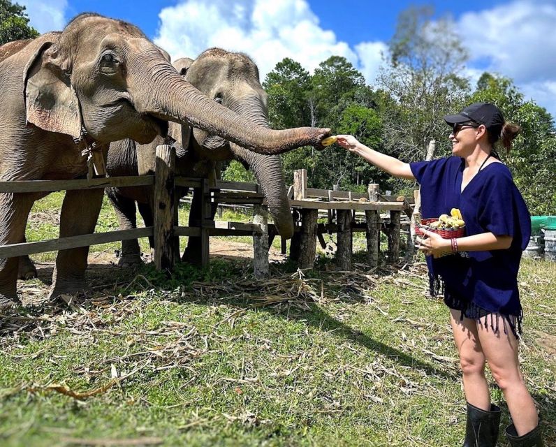 Chiang Mai : Ethical Elephant Sanctuary and ATV Adventure - Should you book this Chiang Mai elephant sanctuary and ATV combo?