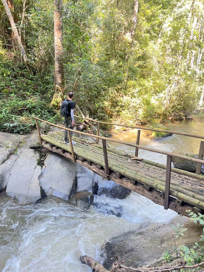 Chiang Mai : Ethical Elephant Sanctuary and ATV Adventure - ATV quad ride on Chiang Mai trails: fun, fast, and a little messy