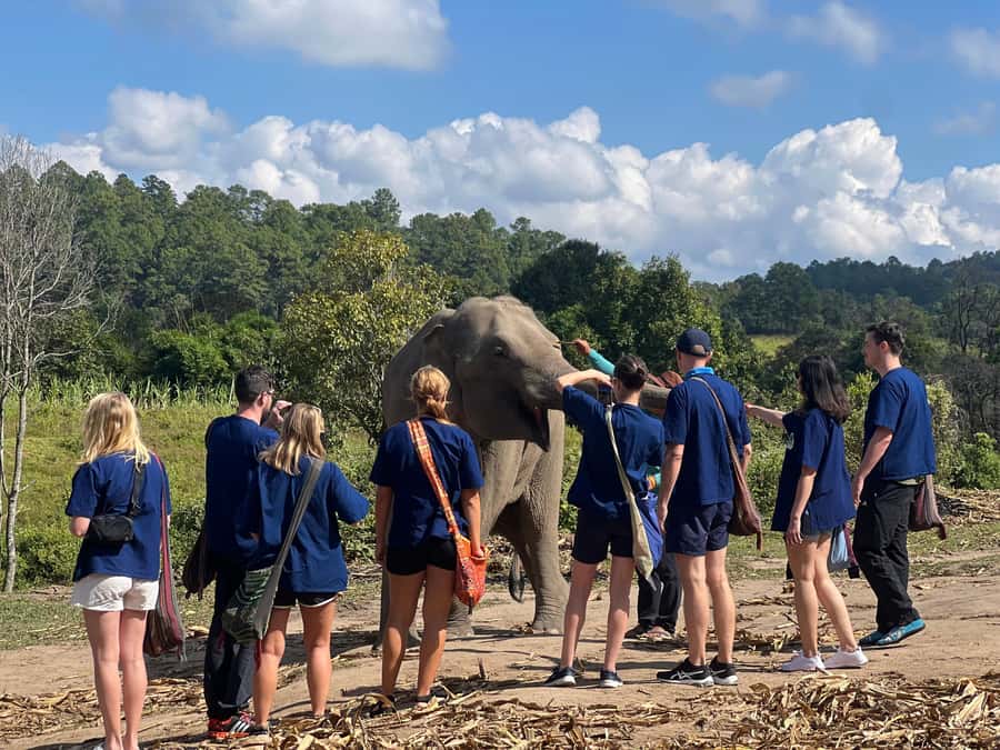 Chiang Mai : Ethical Elephant Sanctuary and ATV Adventure - Who this trip suits, and who should skip it