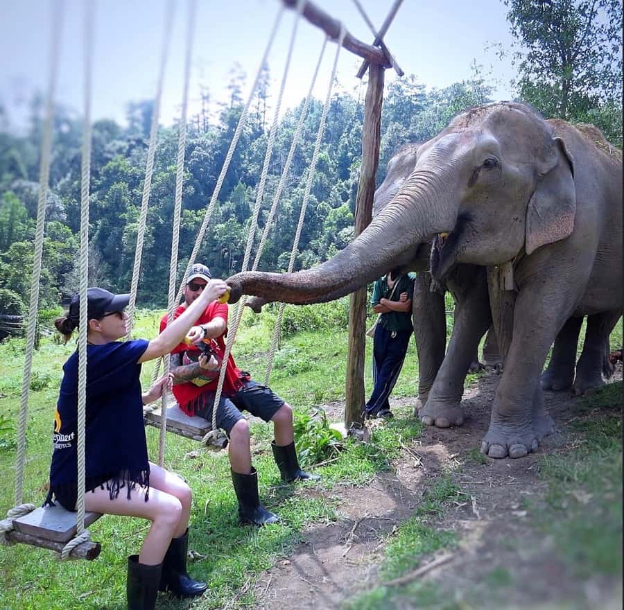 Chiang Mai : Ethical Elephant Sanctuary and ATV Adventure - Practical tips to make the day smoother (and cleaner)