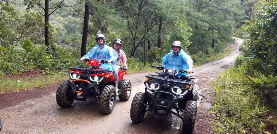 Chiang Mai : Ethical Elephant Sanctuary and ATV Adventure - Ethical questions to ask yourself before booking