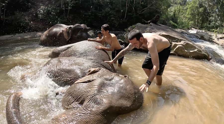 Chiang Mai : Ethical Elephant Sanctuary and ATV Adventure - Living Green Elephant Sanctuary: what to expect from the ethical side