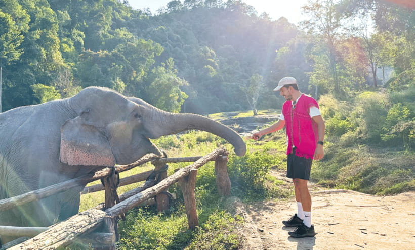 Chiang Mai: Ethical Half Day Elephant Sanctuary & Waterfall - Price and Value: Is $54 a Fair Deal?