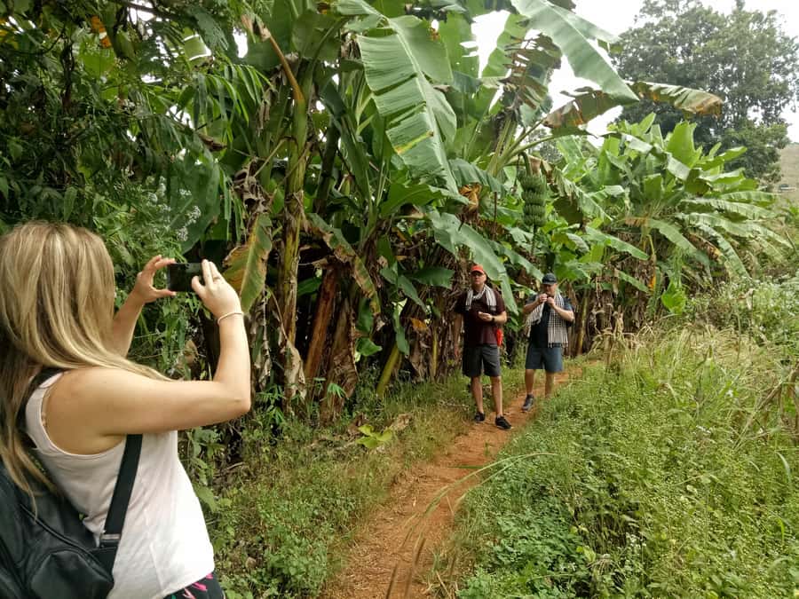 Chiang Mai: Full Day 5 Hill Tribes Tour - Lunch and water: the included reset you’ll appreciate