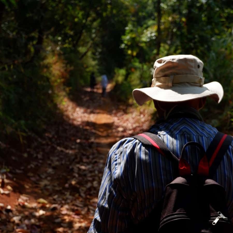 Chiang Mai: Full Day 5 Hill Tribes Tour - Trading Chiang Mai traffic for a hill-tribe day in the forest