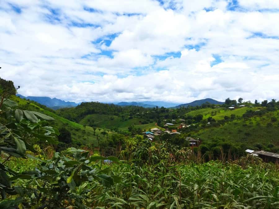 Chiang Mai: Full Day 5 Hill Tribes Tour - Lahu Village: cool forest air and an unforced introduction