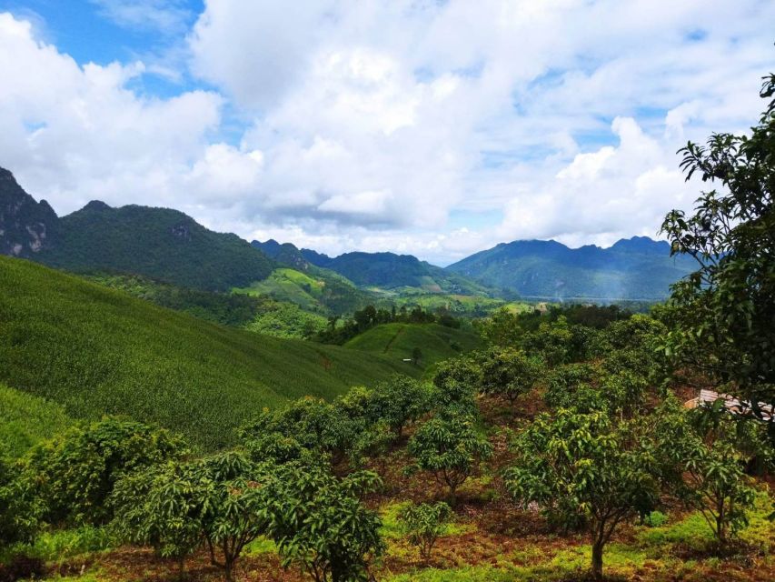 Chiang Mai: Full Day 5 Hill Tribes Tour - Karen Village near Baan Phalai: the “pause” point in the route