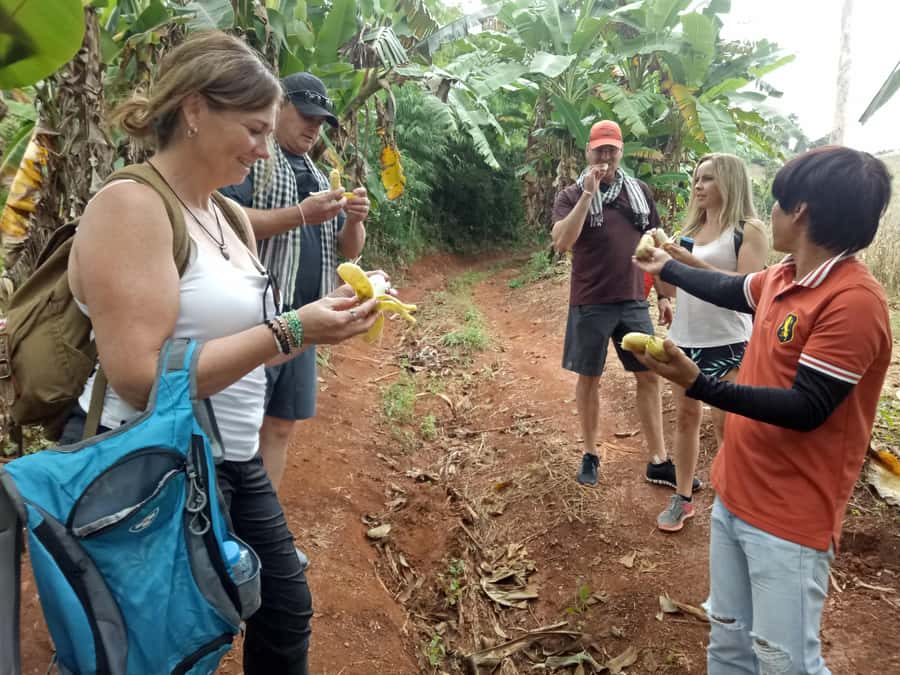 Chiang Mai: Full Day 5 Hill Tribes Tour - Palaung Village (Ban Pang Dang Nai): women’s clothing and souvenirs