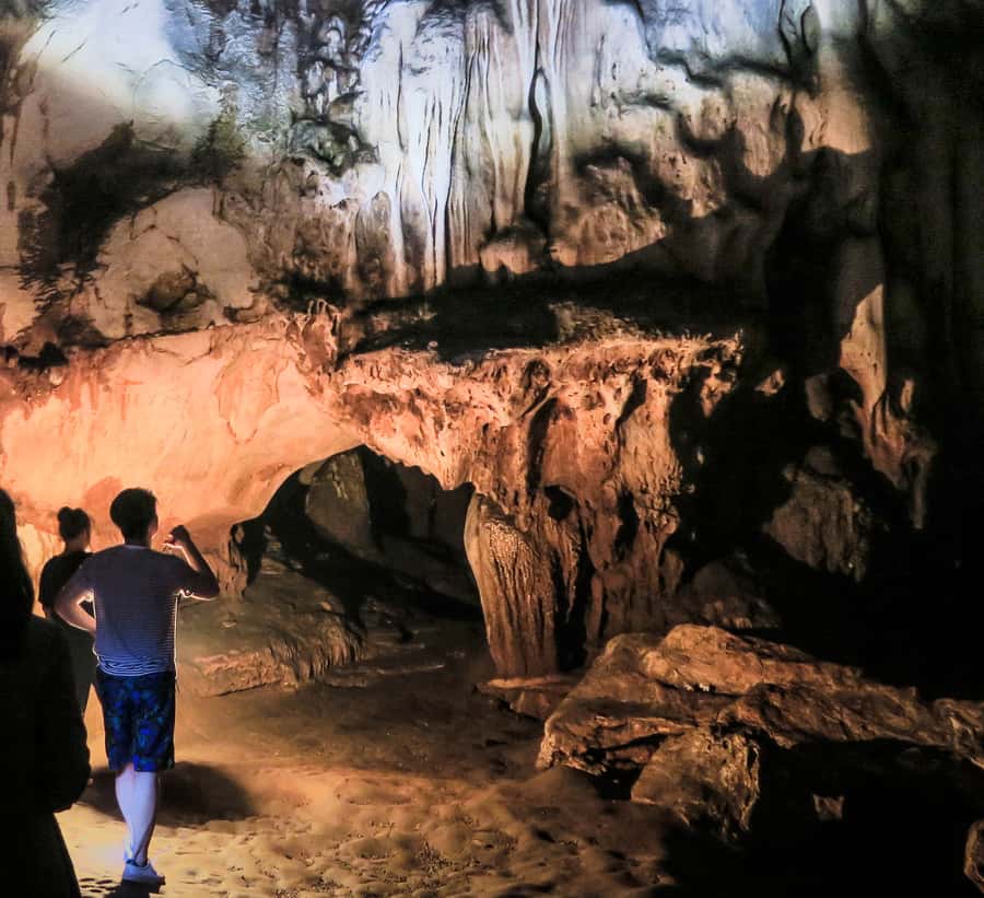 Chiang Mai: Full-Day Chiang Dao Caving & Jungle Kayaking - Chiang Dao Cave with headlamps: temple shrines, tight passages, and animal life