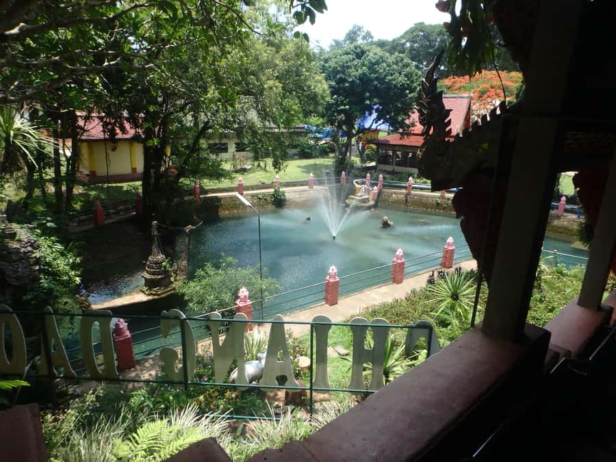 Chiang Mai: Full-Day Chiang Dao Caving & Jungle Kayaking - Midday breaks near Chiang Dao: photo stops, swimming time, and wildlife spotting
