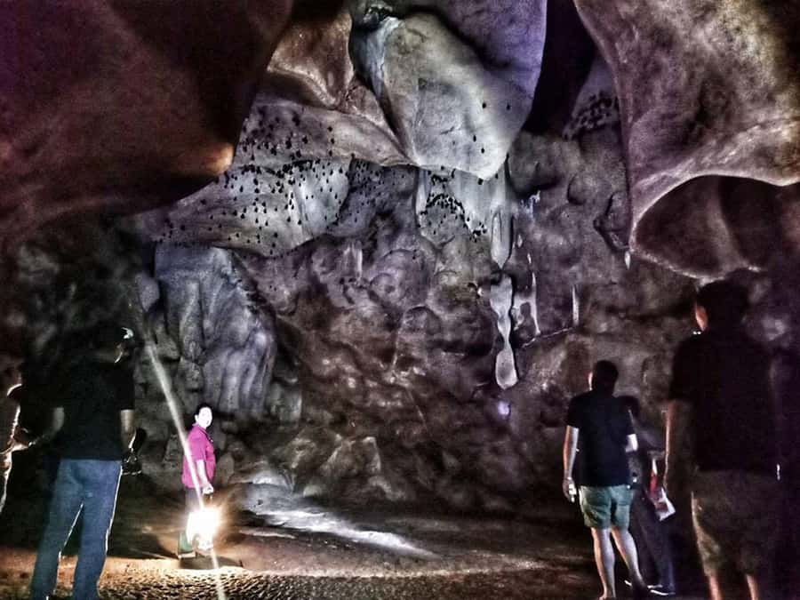 Chiang Mai: Full-Day Chiang Dao Caving & Jungle Kayaking - Price and value: what $80 covers (and what to budget for)