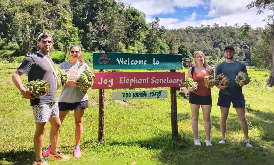 Chiang Mai: Full Day Ethical Elephant Sanctuary & Waterfall - First wildlife viewing in Mae Wang: watch before you rush