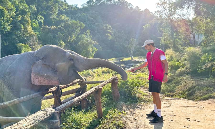 Chiang Mai: Full Day Ethical Elephant Sanctuary & Waterfall - Craft your Thai handmade souvenir