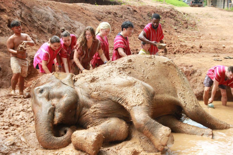 Chiang Mai: Full-Day Kerchor Elephant Eco Park Tour & Trek - Feeding, Walking, and Elephant Baths (No Riding, Lots of Close-Up Time)