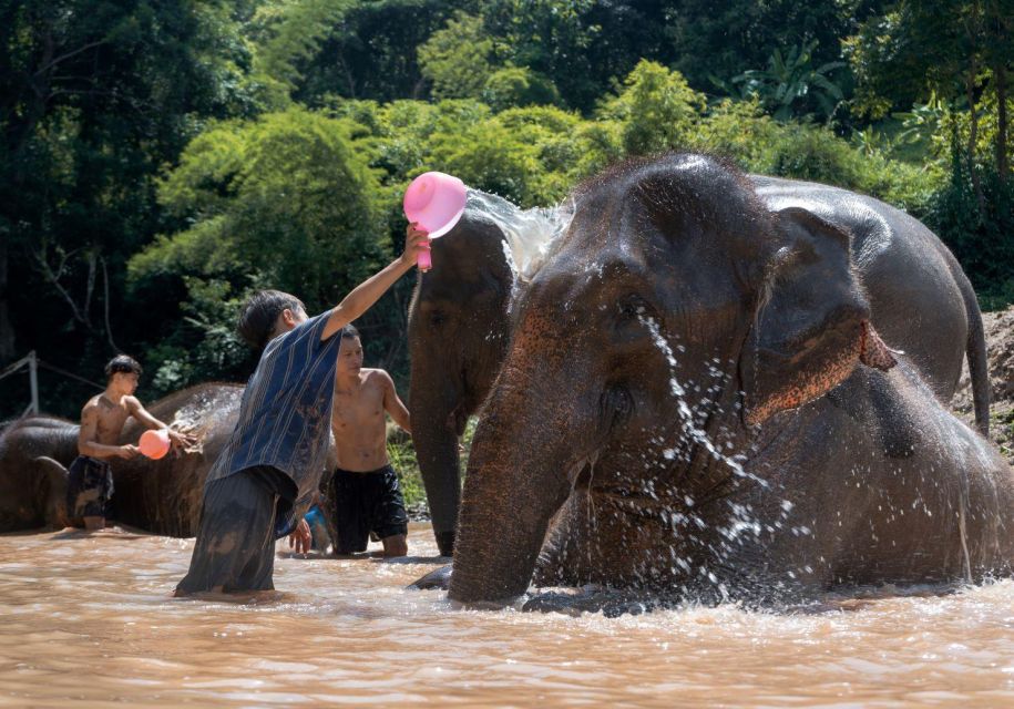 Chiang Mai: Full-Day Kerchor Elephant Eco Park Tour & Trek - Lunch, Clothes, and the Gear That Actually Helps