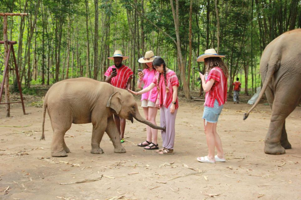 Chiang Mai: Full-Day Kerchor Elephant Eco Park Tour & Trek - Eco Park Briefing First: Understanding What You’re Supporting