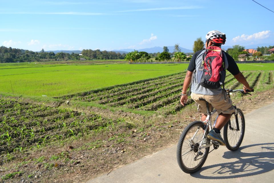 Chiang Mai: Full-Day Nature & Countryside by Bicycle - Si Lanna National Park kayaking: river paddle, lake plan B