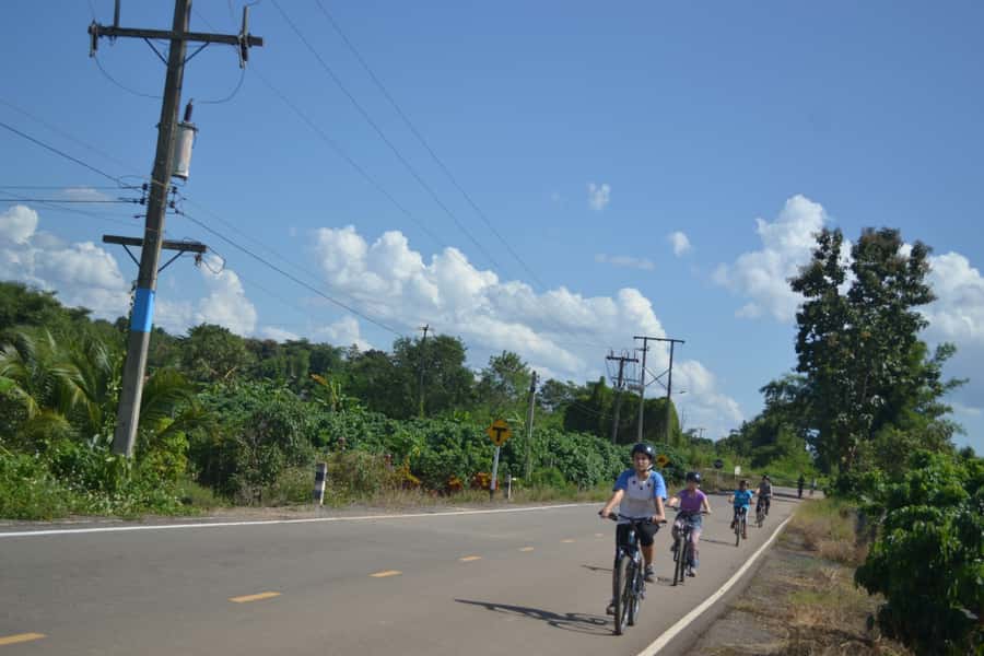 Chiang Mai: Full-Day Nature & Countryside by Bicycle - Riding rice fields and village lanes on a cushioned mountain bike