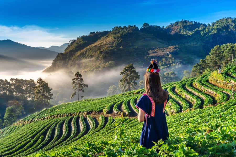 Chiang Mai: Full-Day Private Car Charter to Doi Ang Khang - Key things I’d focus on before you go