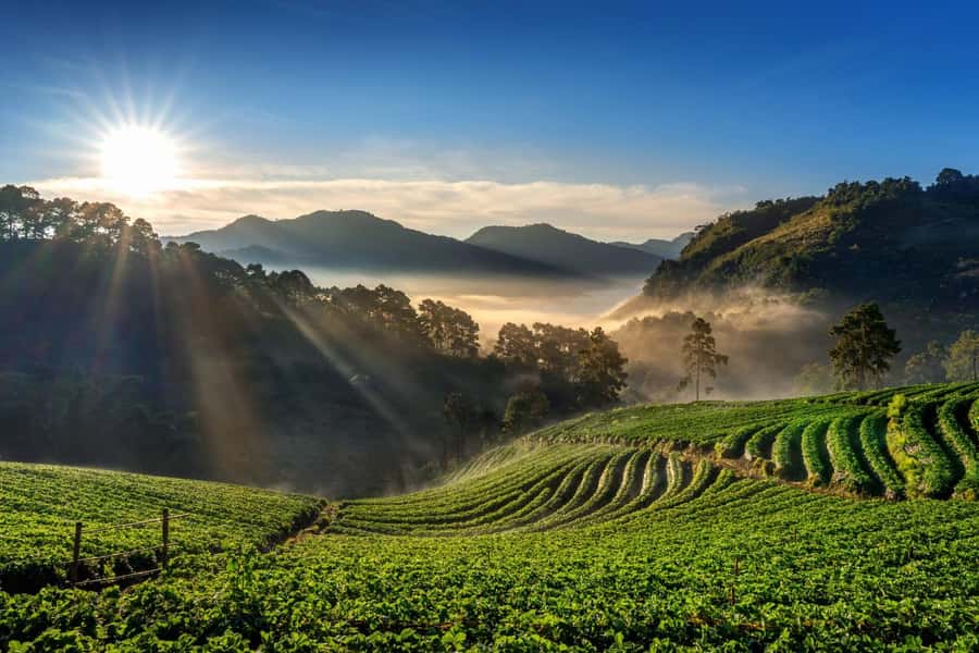 Chiang Mai: Full-Day Private Car Charter to Doi Ang Khang - Ang Khang National Park and Mon Sone Viewpoint: closing the day with nature