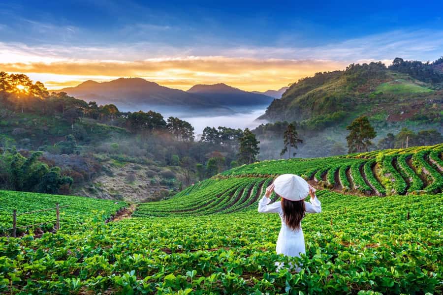Chiang Mai: Full-Day Private Car Charter to Doi Ang Khang - Getting out of Chiang Mai: the comfort-first start