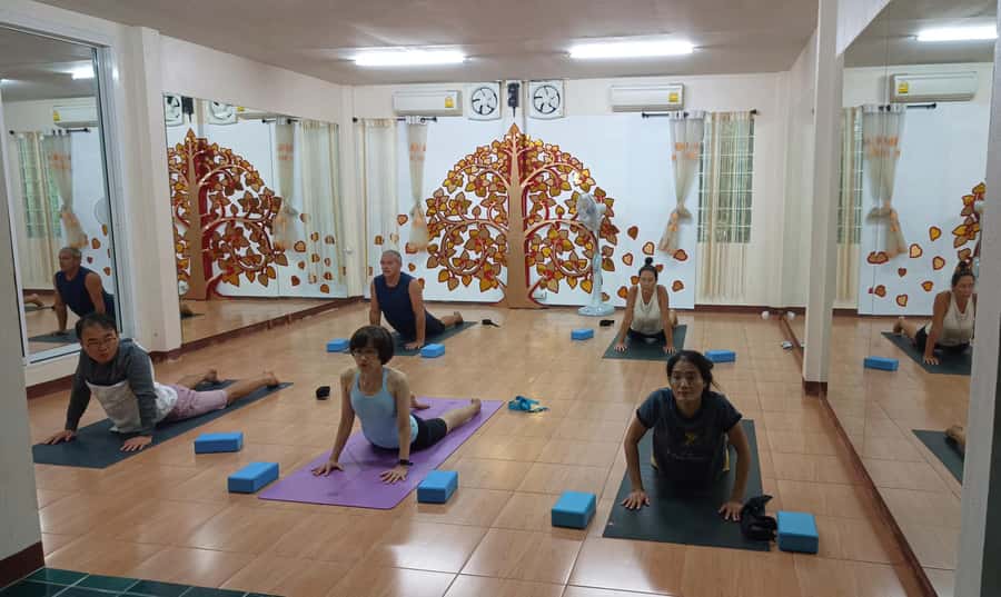 Chiang Mai: Full-Day Yoga & Meditation Experience with Lunch - What $83 Buys: Value, Group Size, and Real-World Time