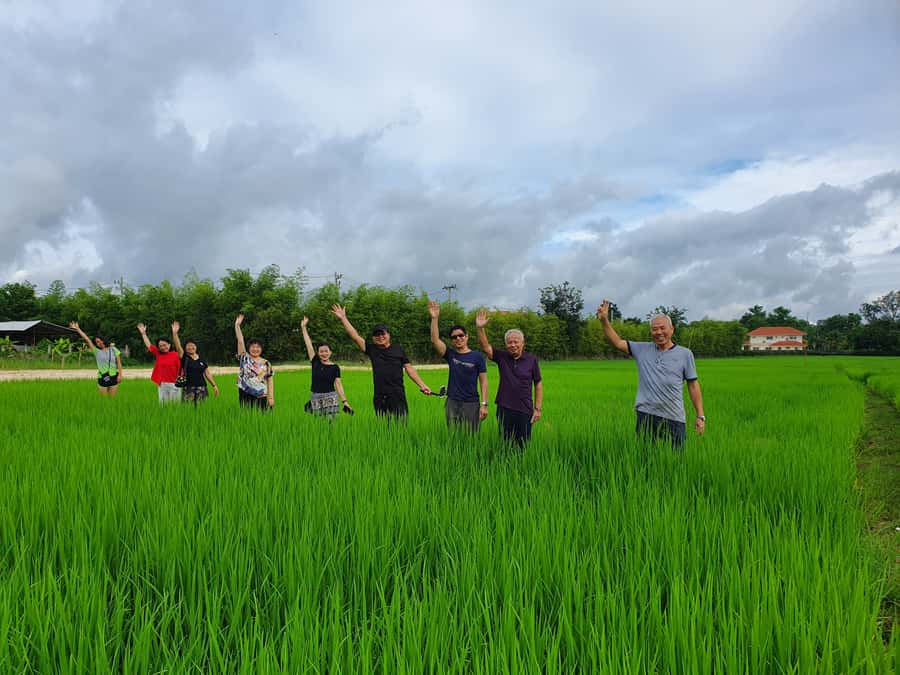 Chiang Mai: Full-Day Yoga & Meditation Experience with Lunch - Rice Fields and a Home-Cooked Thai Lunch That Breaks the Tour Pattern