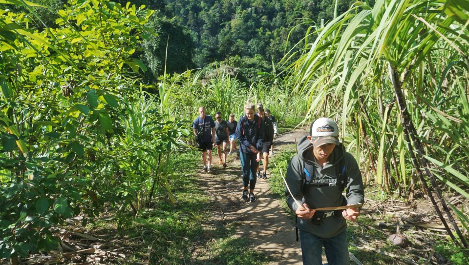 Chiang Mai: Guided Jungle and Waterfall Trek with Transfer - What’s Included (and What Costs Extra): A Realistic Value Check