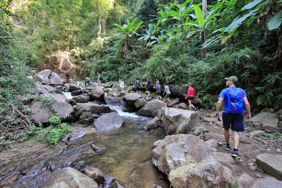 Chiang Mai: Guided Jungle and Waterfall Trek with Transfer - What to Bring for Comfort in Chiang Mai Rain Country