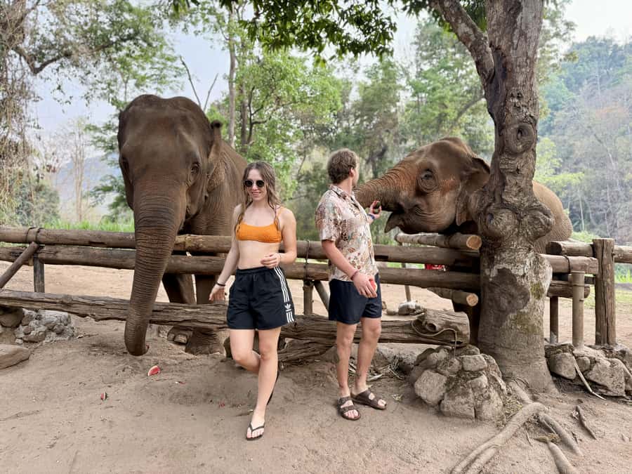 Chiang Mai Half-Day Adventure: River Tubing & Waterfall - Should You Book Chiang Mai River Tubing and the Saa Gee Slide?