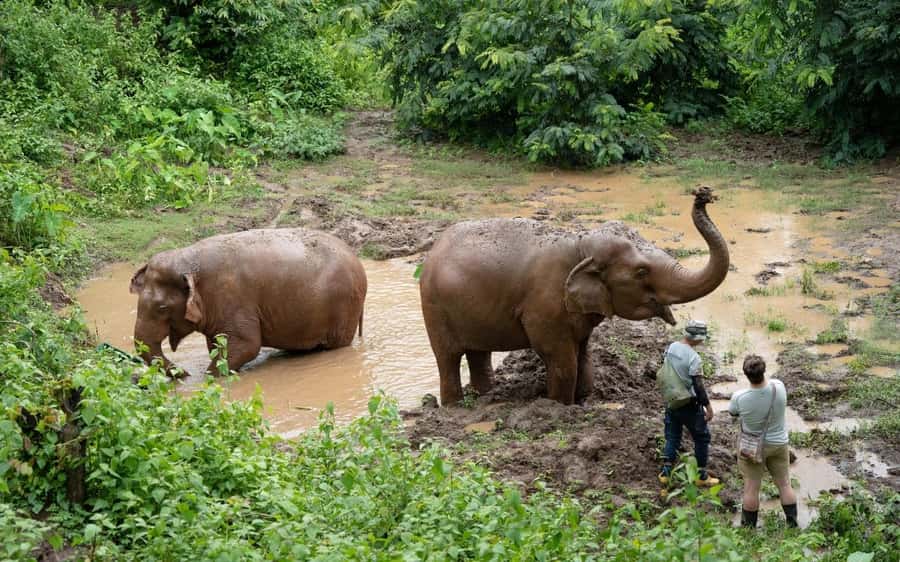 Chiang Mai Half-Day Adventure: River Tubing & Waterfall - Value and Price: Why $62 Can Make Sense Here