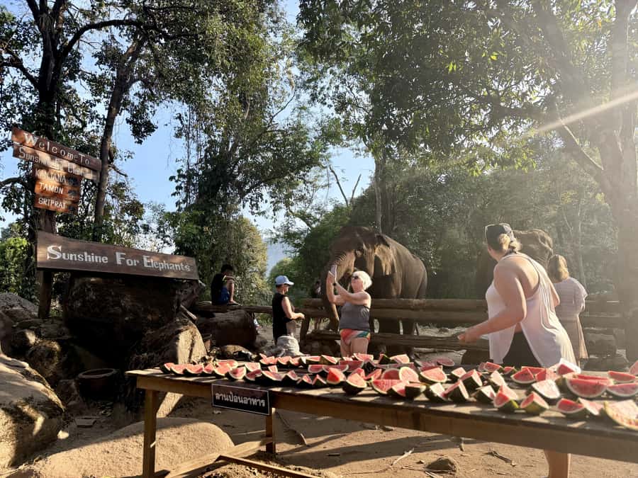 Chiang Mai Half-Day Adventure: River Tubing & Waterfall - Who Should Book This Tour (and Who Might Skip It)