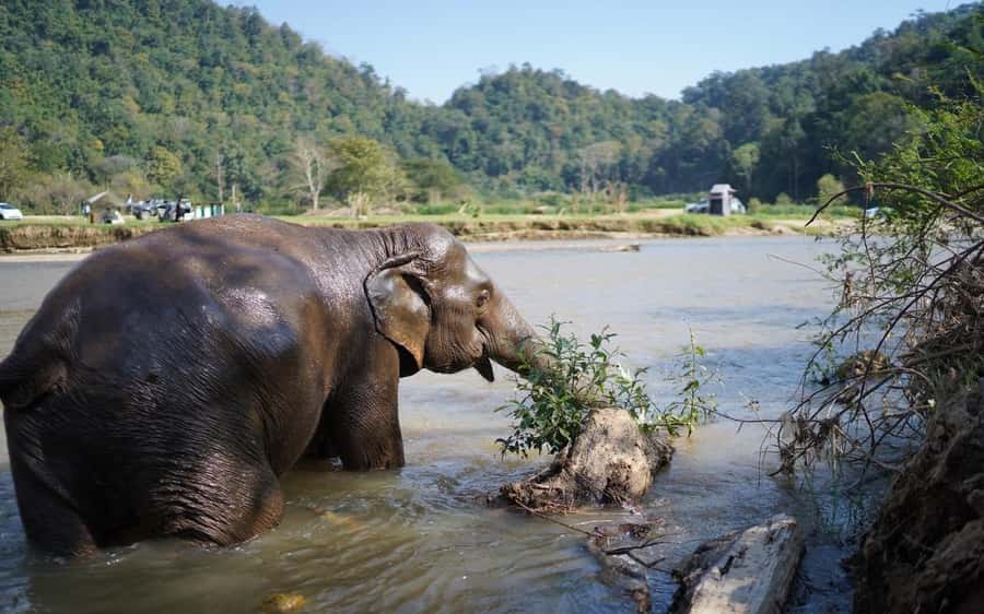 Chiang Mai Half-Day Adventure: River Tubing & Waterfall - The Half-Day Plan: Pickup, River Float, and the Saa Gee Slide