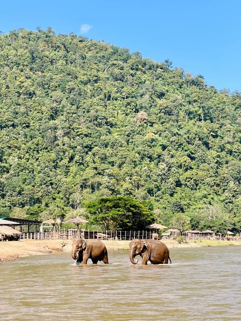 Chiang Mai Half-Day Adventure: Tubing & Elephant Feeding - The waterfall slide at Saa Gee Falls (Option 2 only)