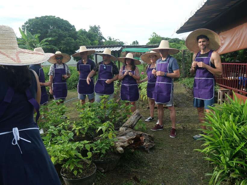 Chiang Mai: Half Day Cooking Class at Organic Farm - Entering The Day: Market First, Then the Organic Garden