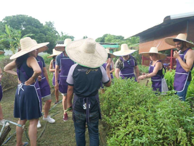 Chiang Mai: Half Day Cooking Class at Organic Farm - Price and Value: Why $31 Often Feels Fair for 5 Hours