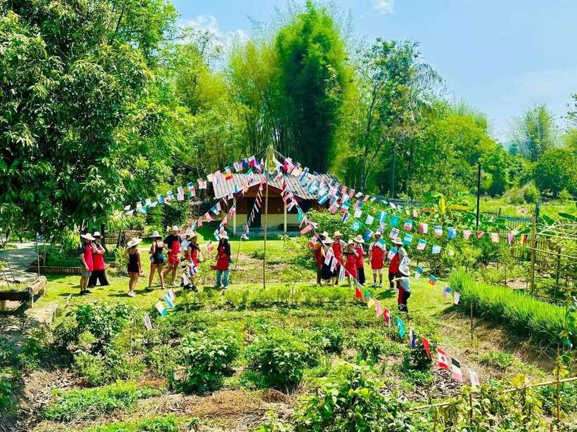 Chiang Mai: Half Day Cooking Class at Organic Farm - How the 5-Hour Class Builds Flavor: Curry Paste to Final Dishes