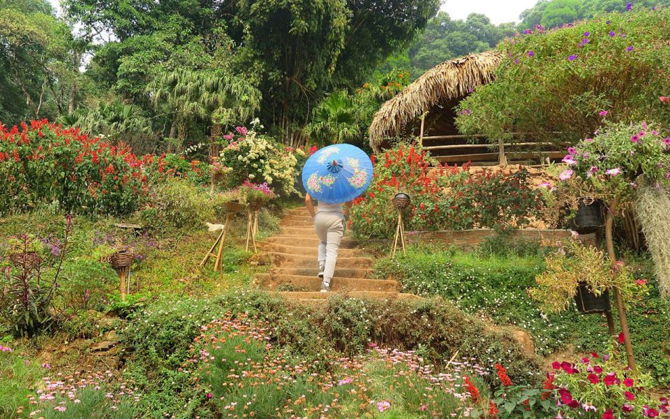 Chiang Mai: Half day Doi Suthep and Meo Village - Wat Phra That Doi Suthep: the mountain temple you can’t ignore
