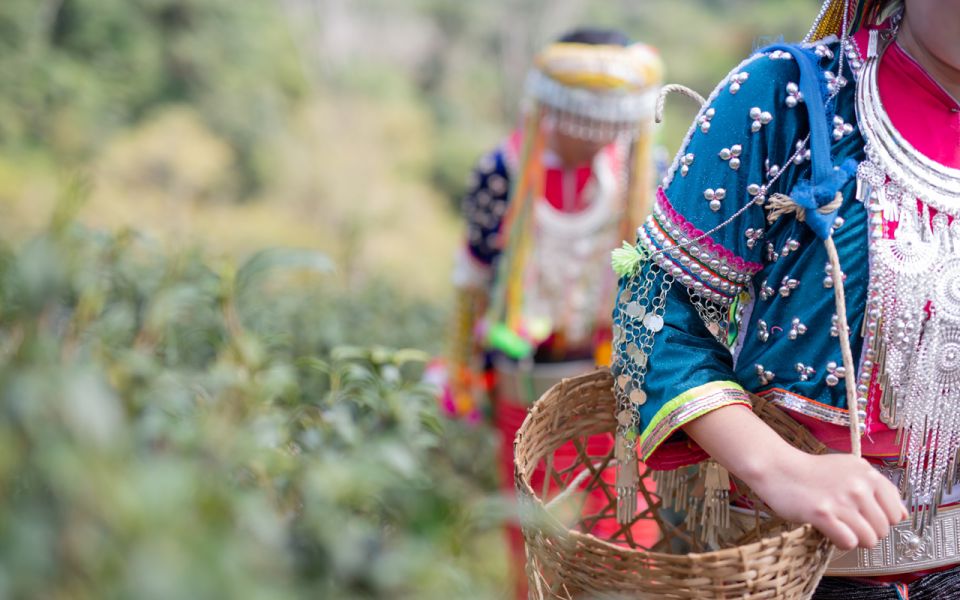 Chiang Mai: Half day Doi Suthep and Meo Village - Who this tour suits best (and who should skip it)