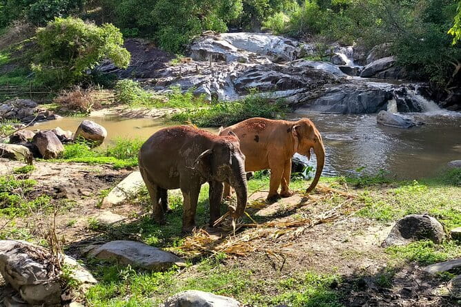 Chiang Mai Half Day Elephant Sanctuary Observation and Waterfall - Key things I’d mark on your map