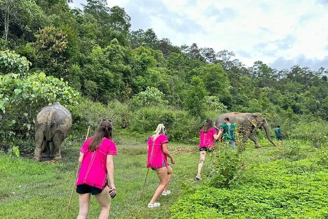 Chiang Mai Half Day Elephant Sanctuary Observation and Waterfall - Getting to Thung Luang: the mountain ride and what to wear