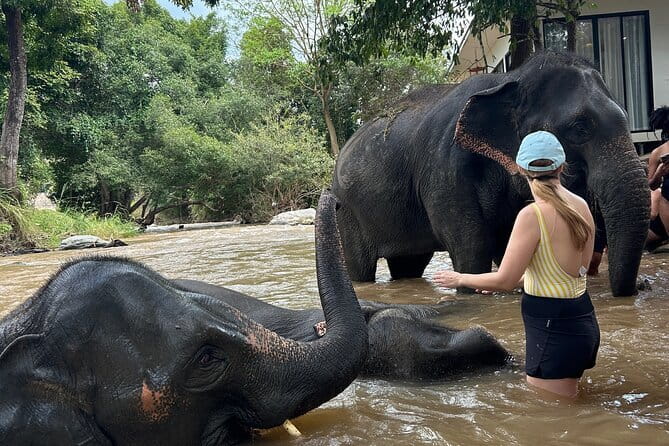 Chiang Mai Half Day Elephant Sanctuary Observation and Waterfall - Waterfall time at the end: cooling off in the hills