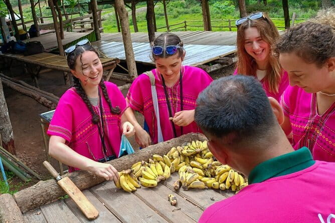 Chiang Mai Half Day Elephant Sanctuary Observation and Waterfall - Joy Elephant Sanctuary: what ethical elephant observation feels like