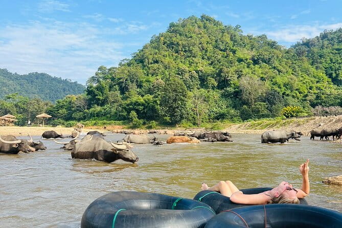 Chiang Mai Half-Day River Tubing & Elephant Observation - From hotel pickup to the river: how the morning sets you up