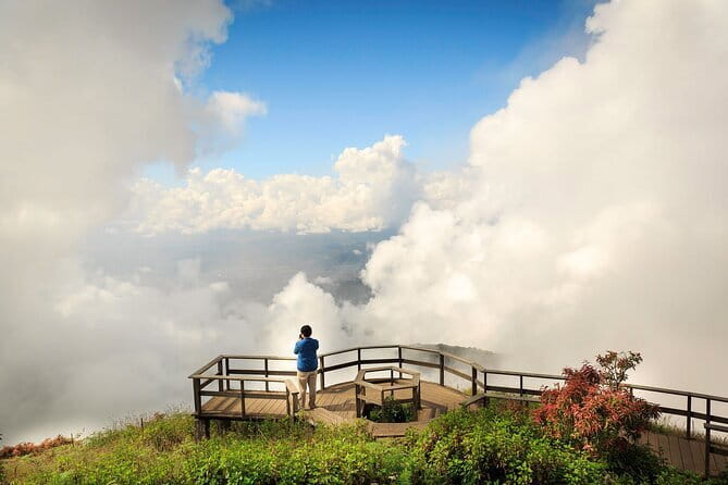 Chiang Mai Half Day Tour: Doi Inthanon Elephant Sanctuary - The Sanctuary Visit: What You Actually Do (and See)
