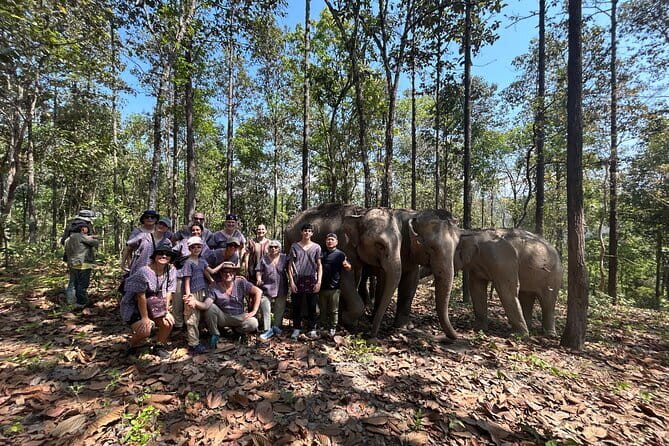 Chiang Mai Half Day Tour: Doi Inthanon Elephant Sanctuary - Price and Value: What $55.24 Buys You in Chiang Mai