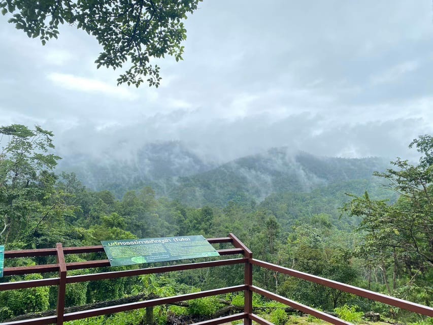 Chiang Mai Half Day Tour: Sticky Waterfall & Hotel Transfer - Should you book this Chiang Mai Sticky Waterfalls half-day?